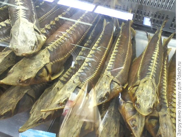 Рыбный рынок в Астрахани