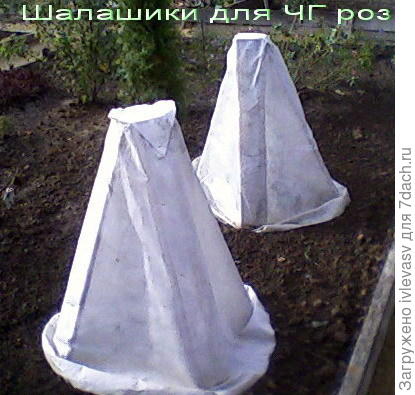 http://www.websad.ru/forum/C/110810.jpg