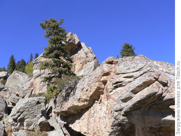 Большое Алматинское озеро