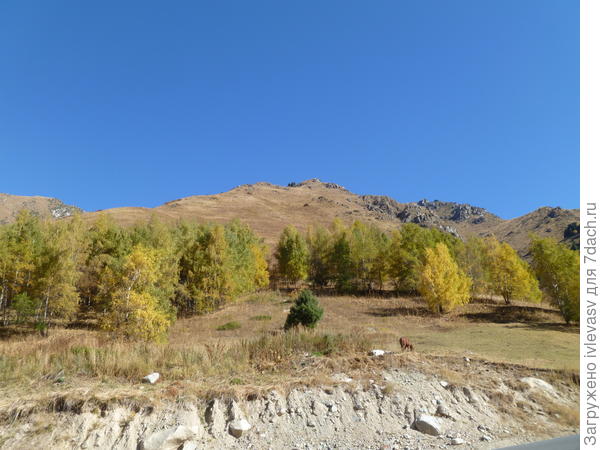 Большое Алматинское озеро