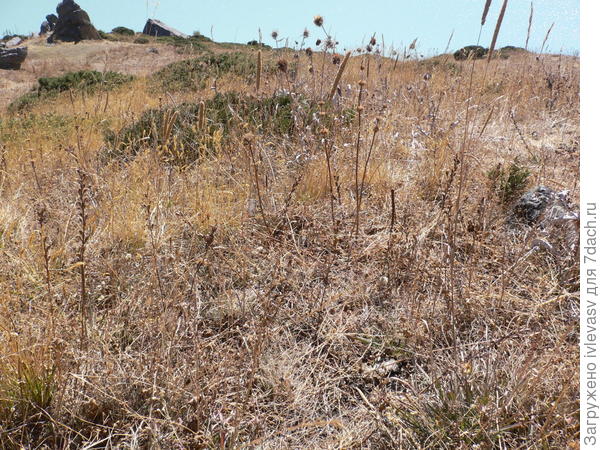 Большое Алматинское озеро