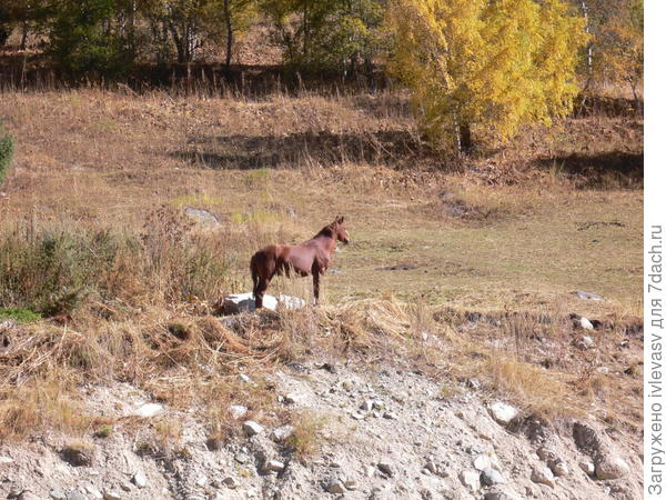 Большое Алматинское озеро