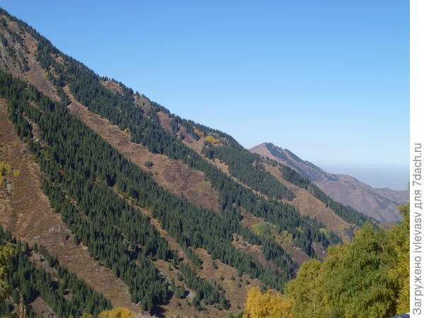 Большое Алматинское озеро