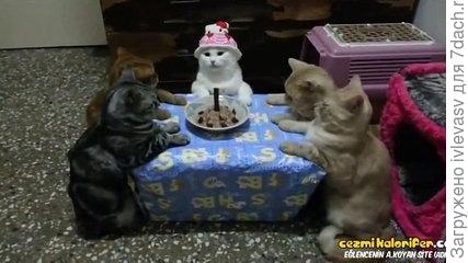 Гости будут?