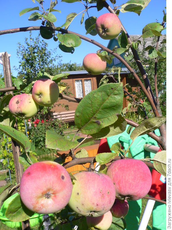 А вот результат.