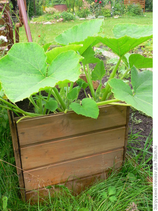 Ящик из остатков вагонки