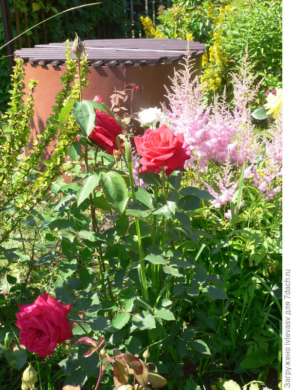 Бочка стала другого цвета