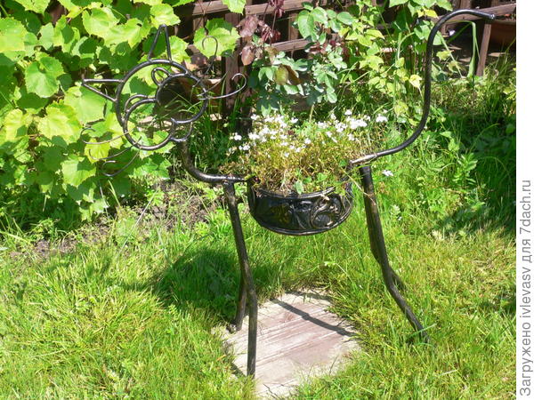 Мне кошку подарили