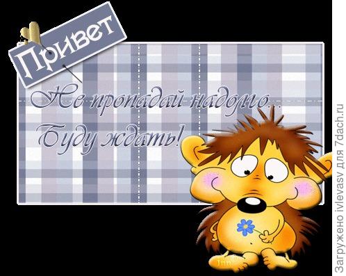 Надписями про, открытка опять исчез