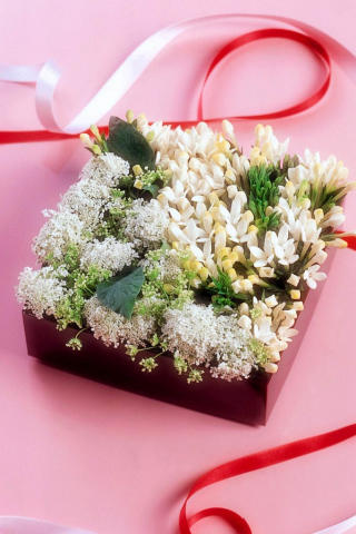 Здоровья и красоты!