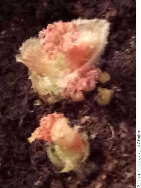 Интересен сам процесс.