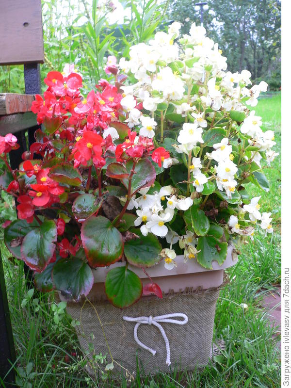 Фото 2015 года