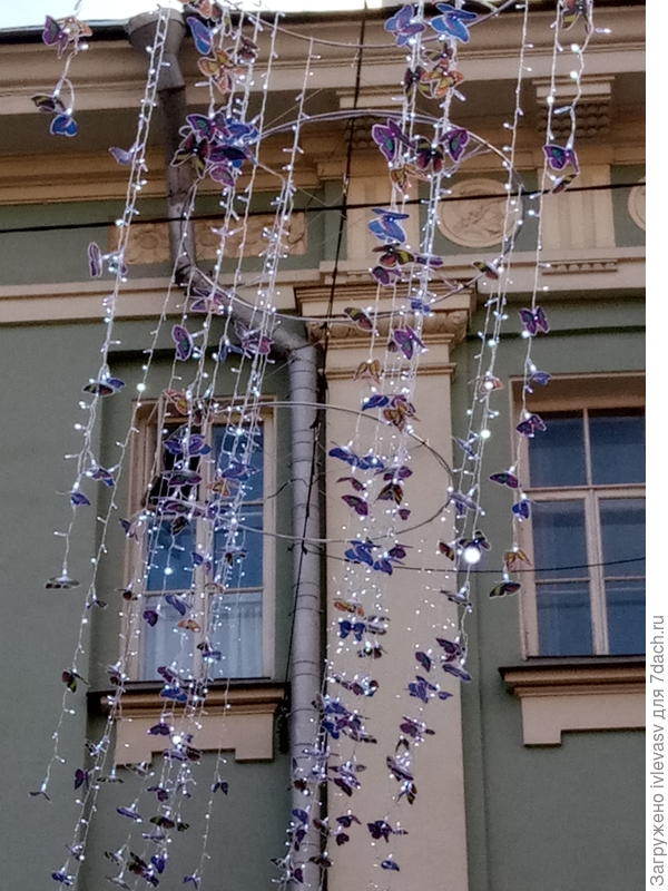 В Москве только вот такие бабочки летают. Это днем.