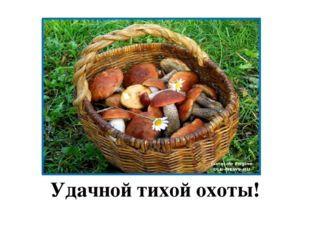 Хорошего бабьего лета!