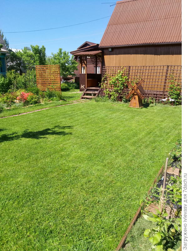 Летом еженедельно косить