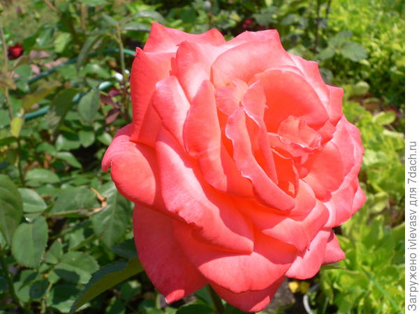 Будьте счастливы!