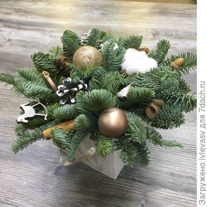 из интернета