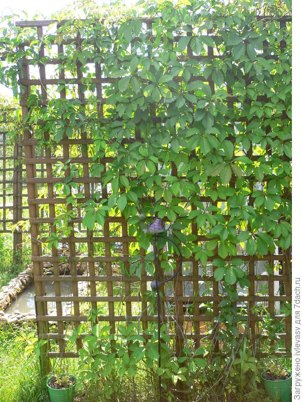 Спрятали летний душ