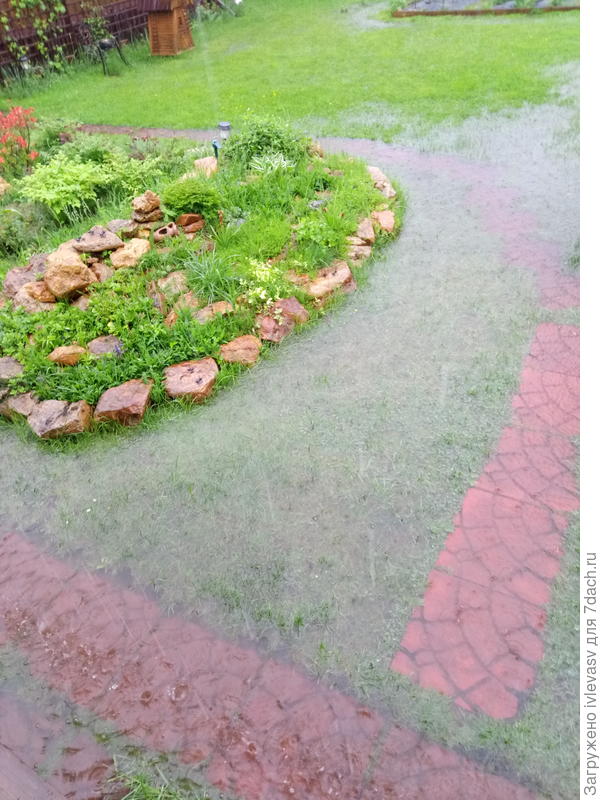 В сильный ливень бывает и такое