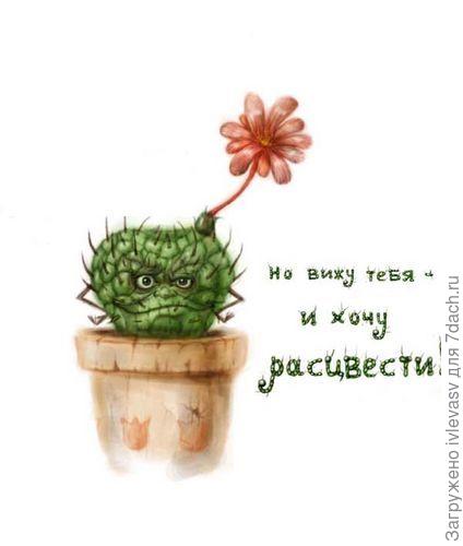 Пусть всегда цветет!