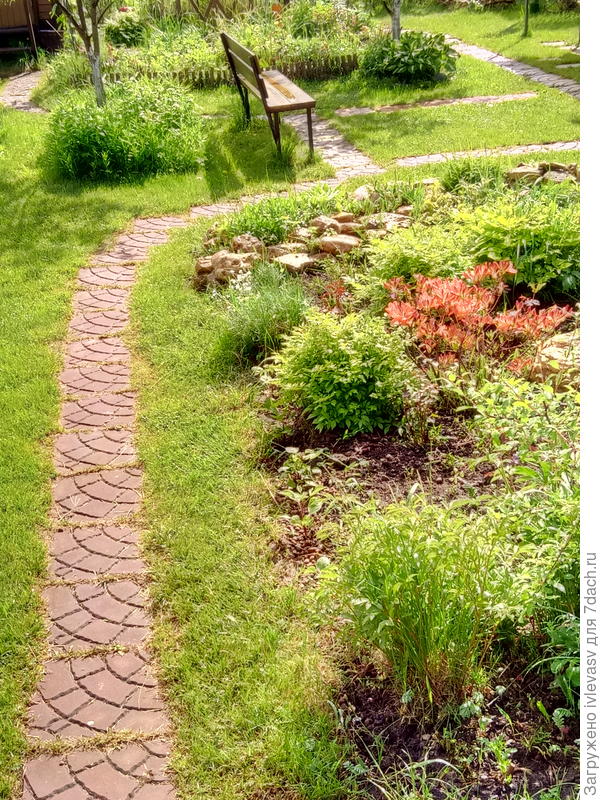 Дорожки из плитки