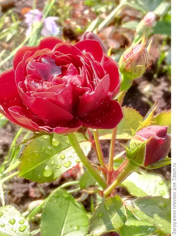 Будем ждать!