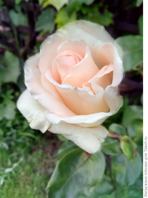 Будьте счастливы!