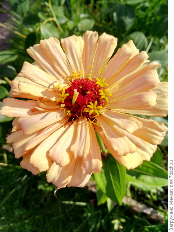 Всегда солнечного настроения!