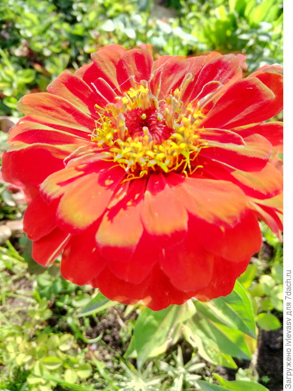 Будьте счастливы!