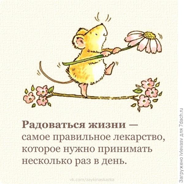 Всем принимать это лекарство!