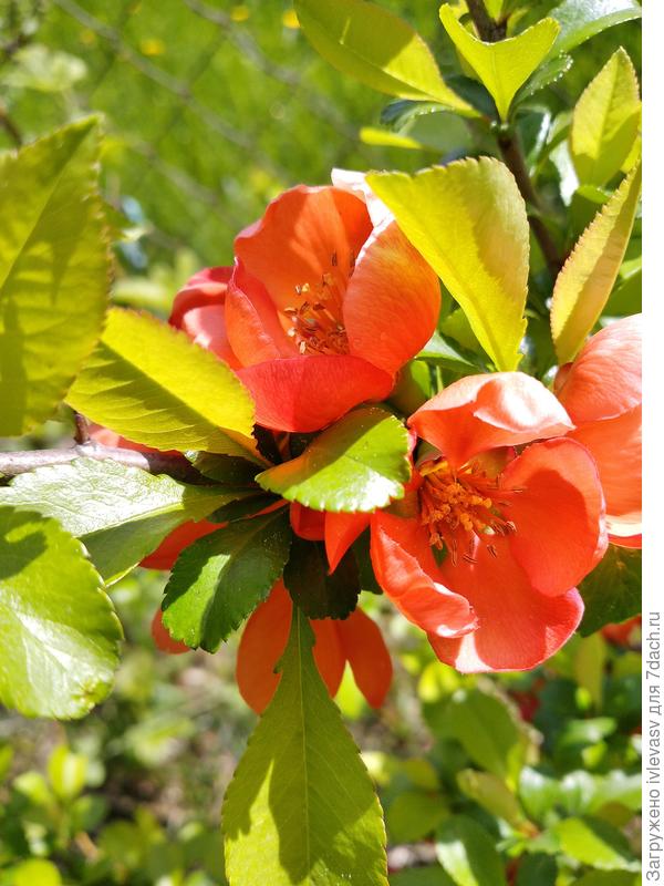 Всегда весеннего настроения!