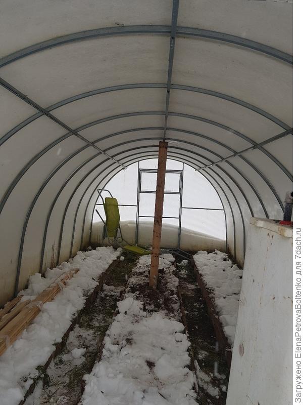 Внутри в теплице.