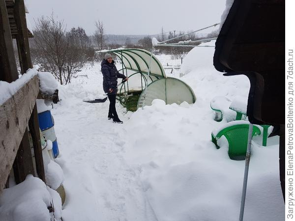 Кидание снега в тепличку.