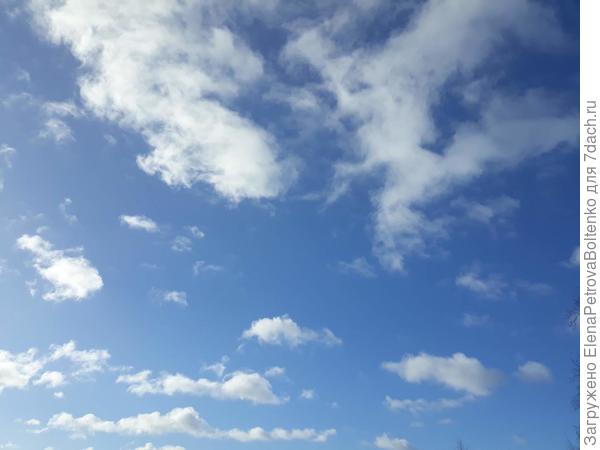 Облака. Посмотрите на оброз облака. Человек с щенком.