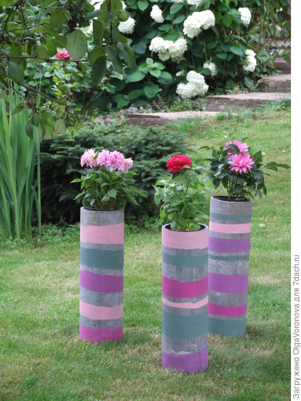 И не только петуния, но и весёлые ребята там нормально росли