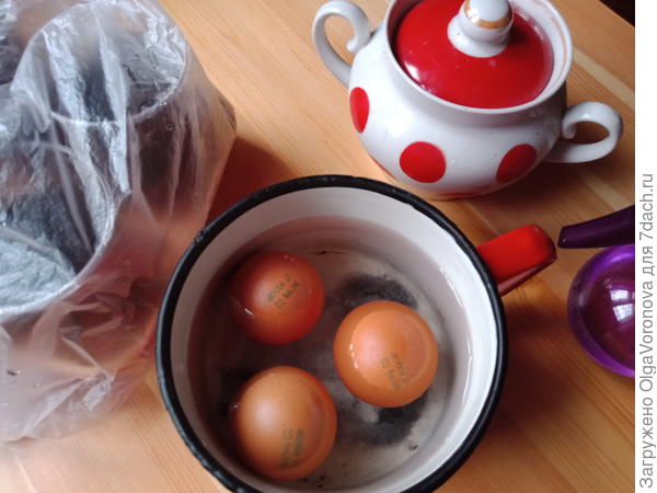 Вода от варки яиц — хороший стимулятор для семян. Фото автора