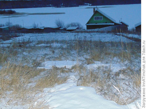 первое знакомство с участком