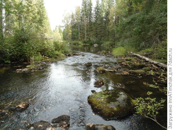 рыбалка на реке