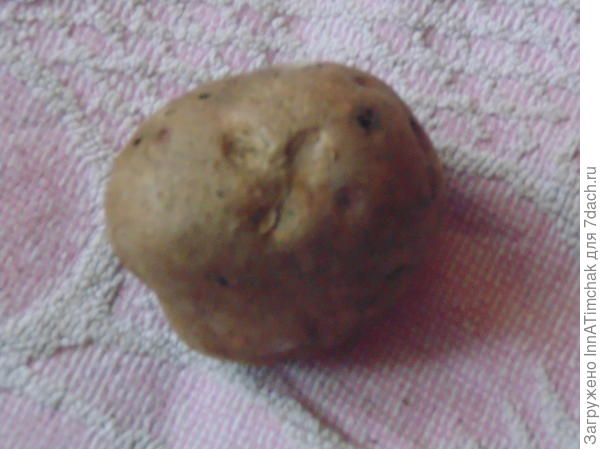 жуковский ранний