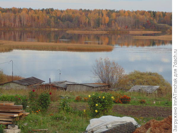 осень