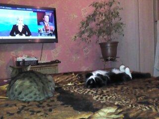 Муся и Дуся)