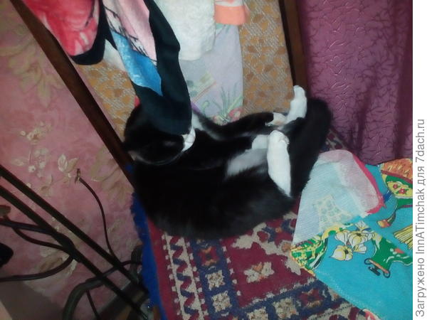 мелочь спит)