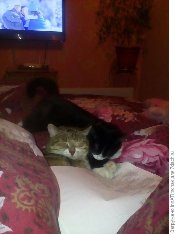 Дусьен с Мусьен)))