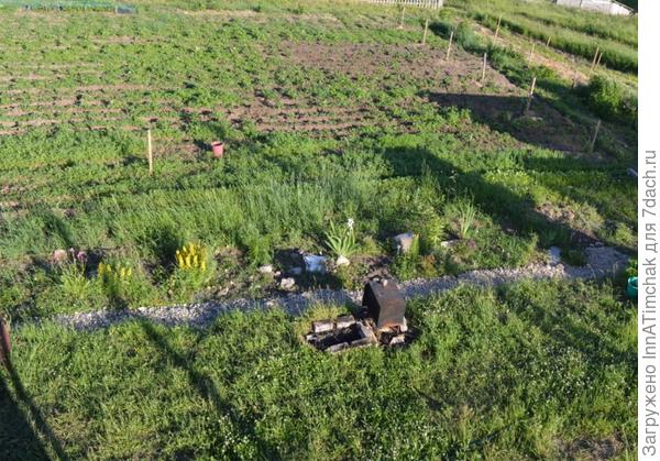 вид сверху на ручей