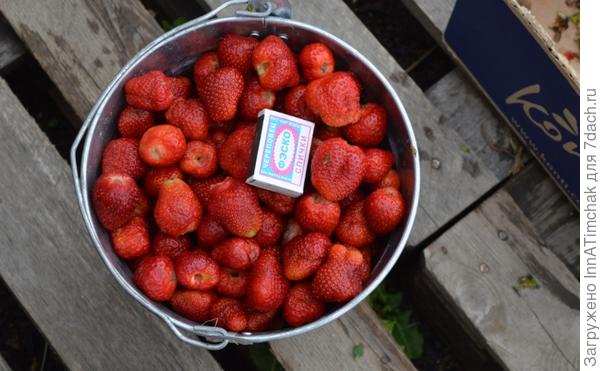 2 ведра за сезон