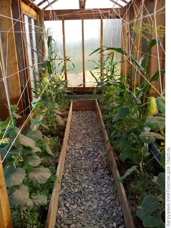 деревянный каркас