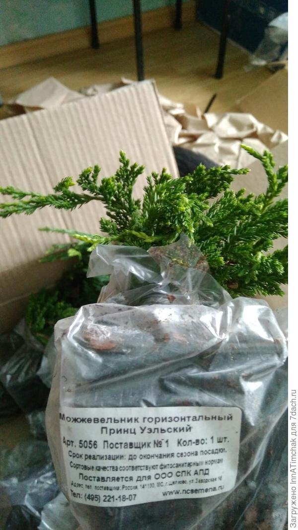 вот такой был