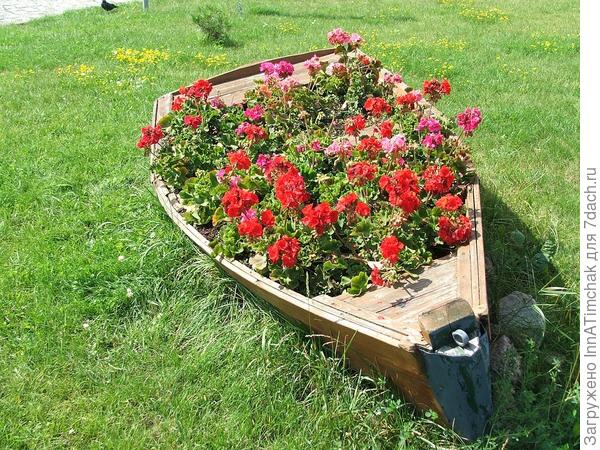 Размышления и планы () Размышления и планы