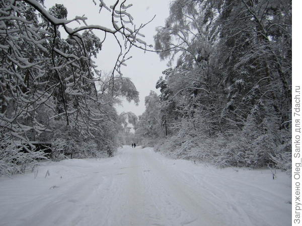 01 января 2011