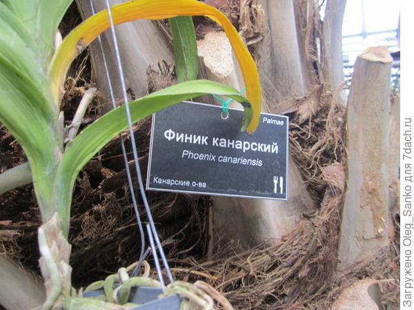 Последний из имеющихся снимков